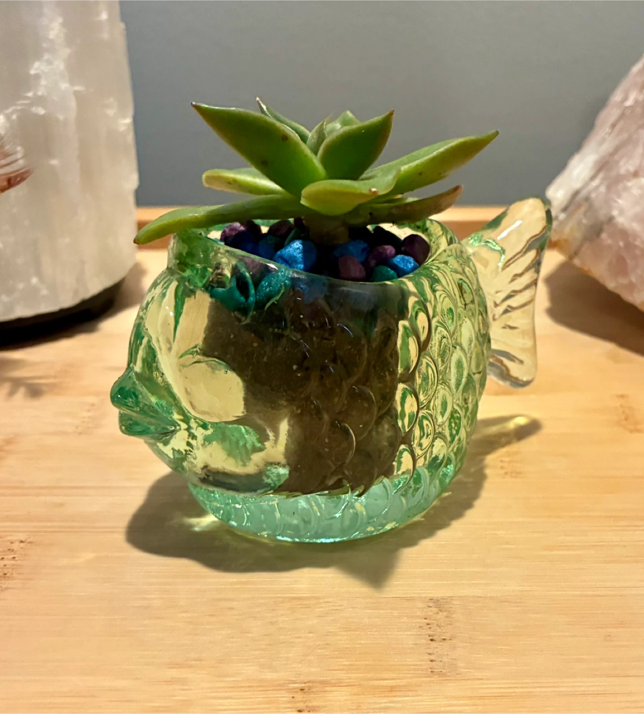Glass Fish Planter with Succulent - photo 2