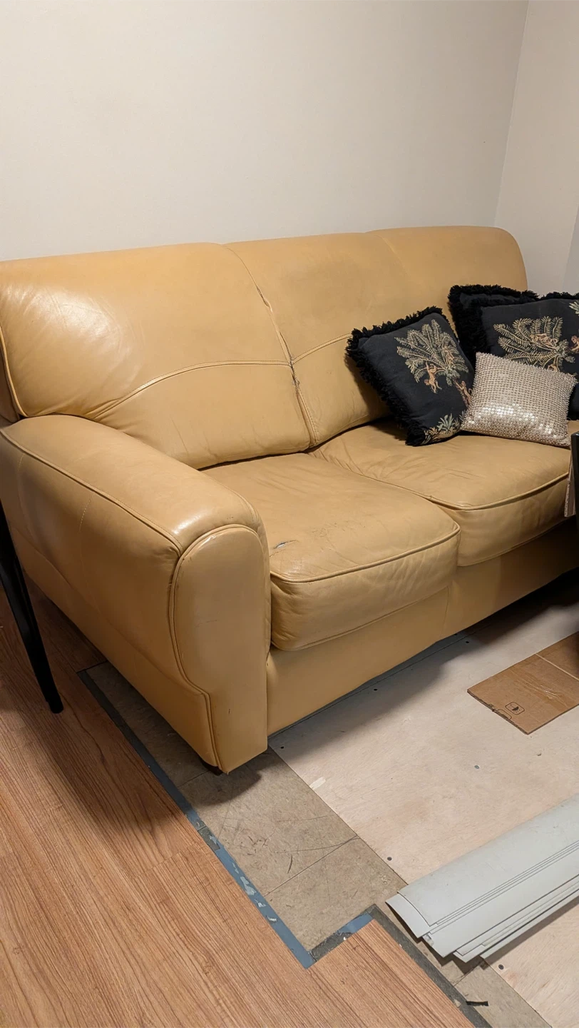 Tan Leather  Sofa bed queen side