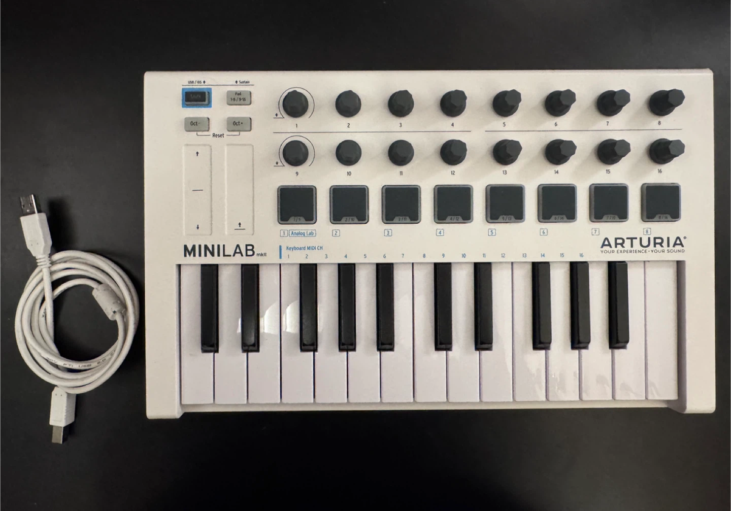 Arturia Minilab Mk II 25-Key USB MIDI Controller