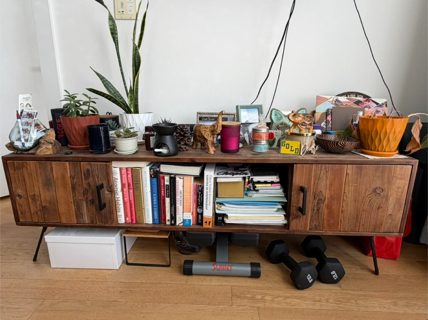 Mid-Century Modern Wood TV Stand with Storage