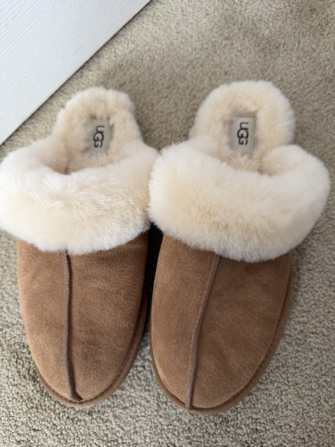 Ugg slippers