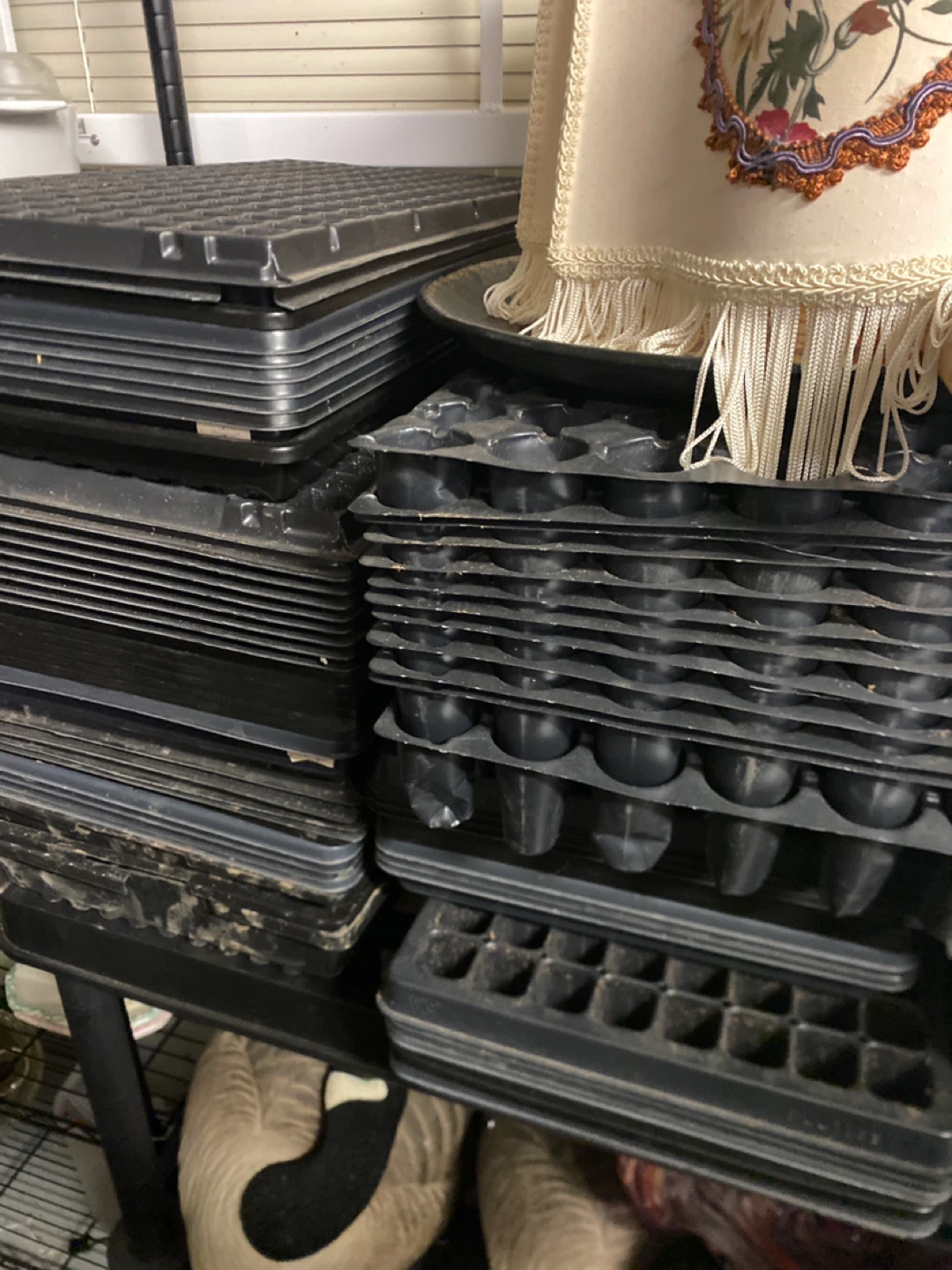 Large Lot of Seedling Starter Trays and Micro green trays