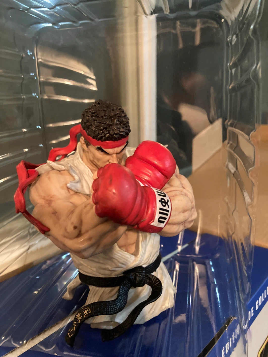 Bundle Street Fighter PS4 - photo 3