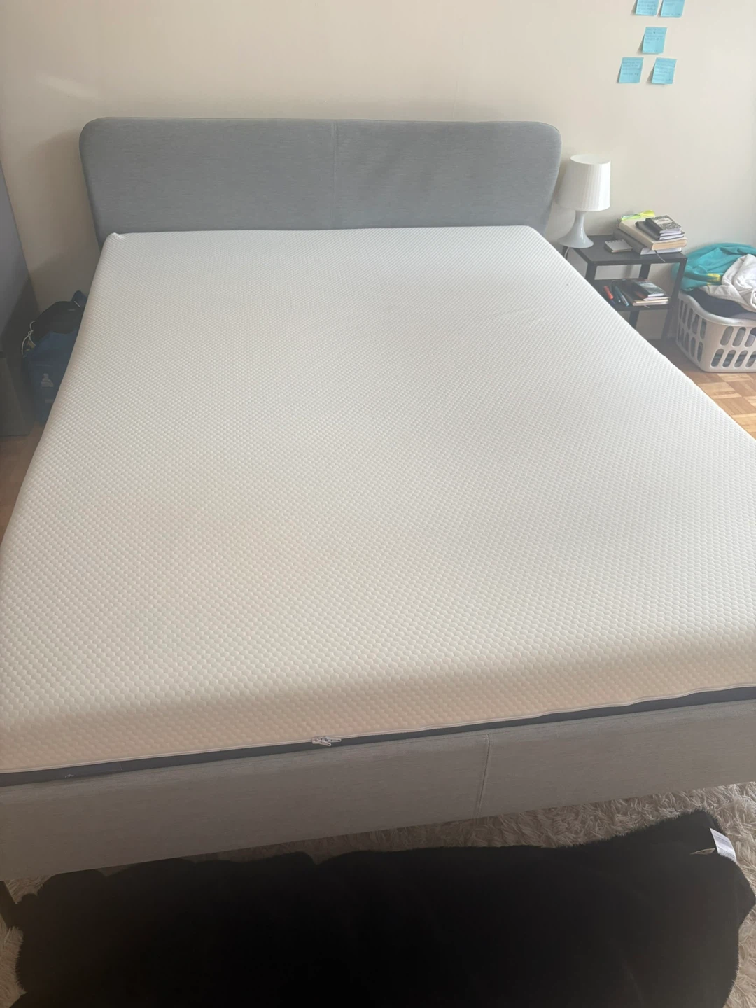 Grey Upholstered Queen Bed Frame with Mattress