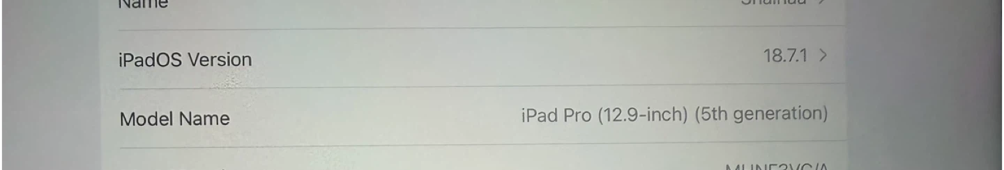 Apple iPad Pro 12.9-inch (5th Gen) with Case and Apple Pencil - photo 3
