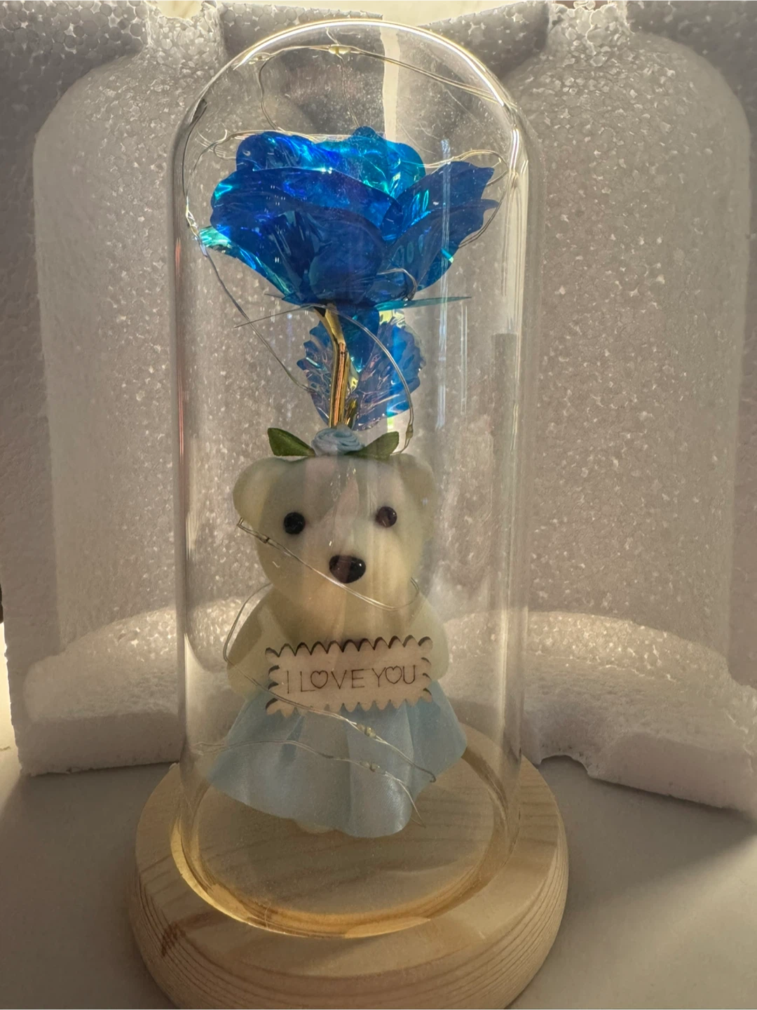 Enchanted Rose Dome with Teddy Bear and LED Lights