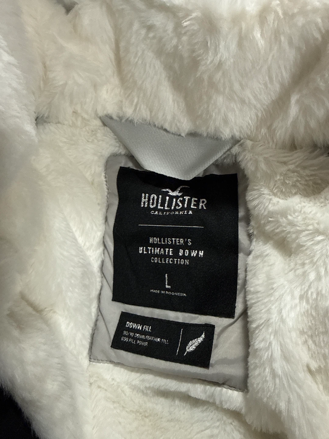 Hollister Ultimate Down Parka