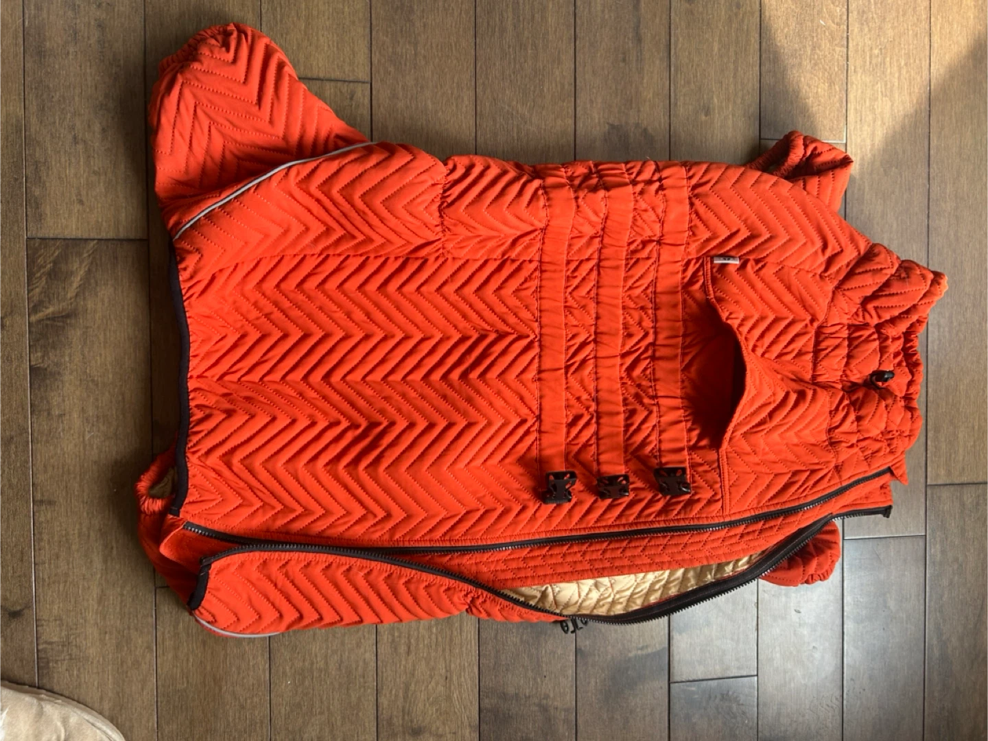 Orange Dog Winter Jacket - Size 4XL