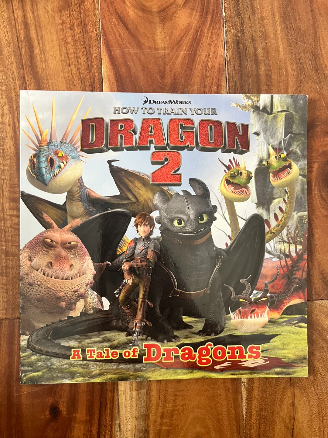 How to Train Your Dragon 2: A Tale of Dragons Book