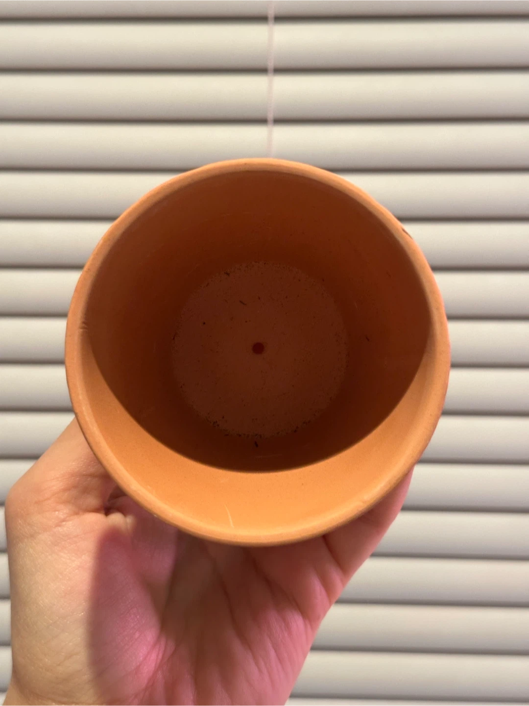 3" Terracotta Planters x10 - photo 4