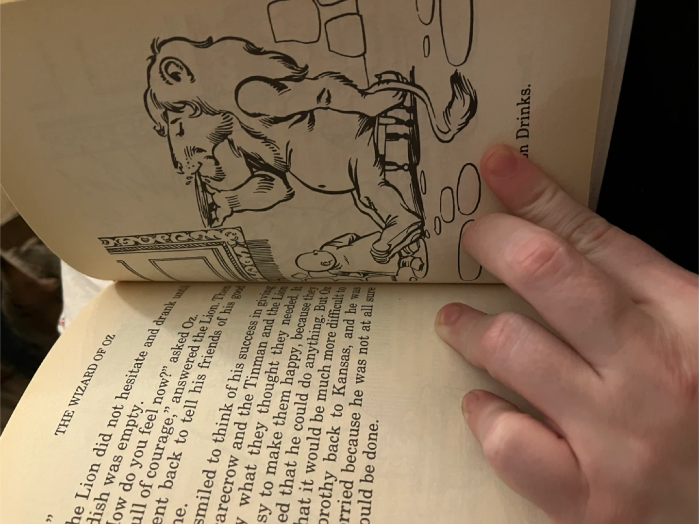 The Wizard of Oz Great Illustrated Classics Book - photo 3
