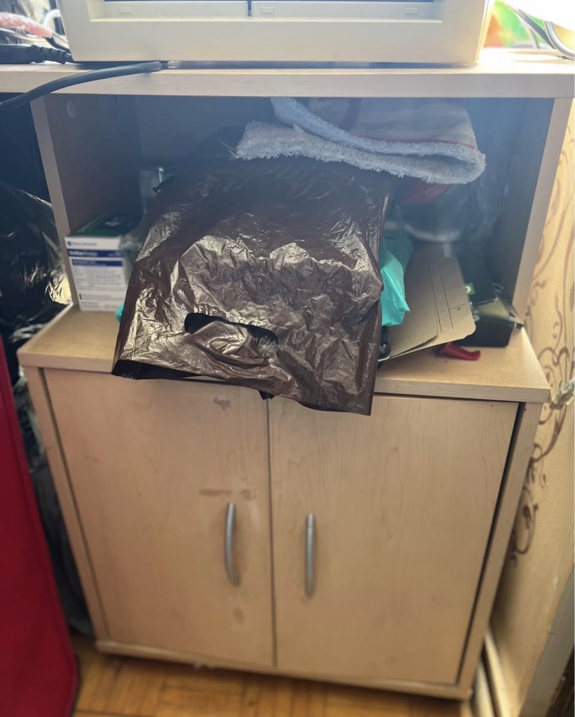 Wood Storage Cabinet with Wheels