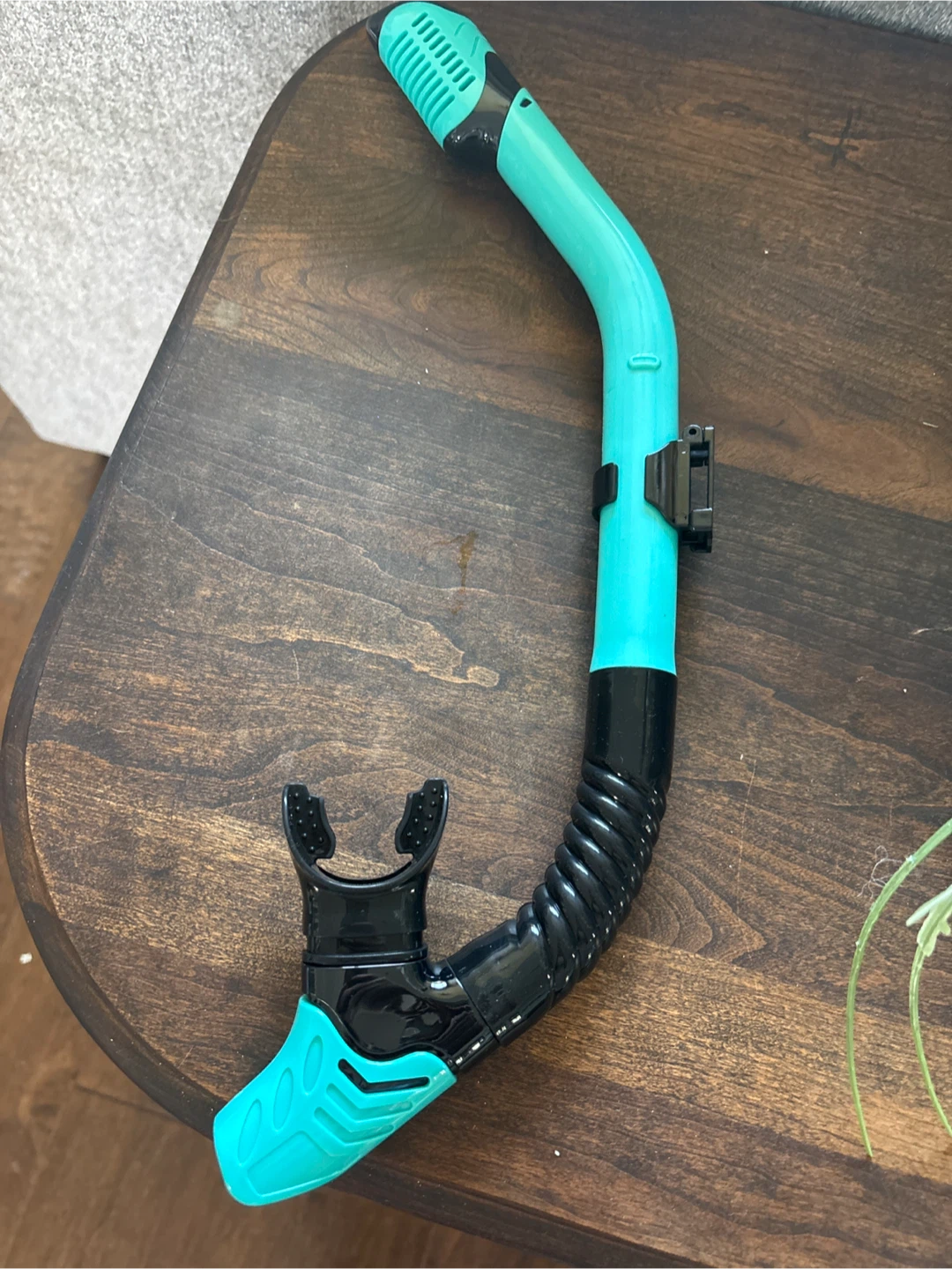 Aqua Lung Snorkel Set - Teal