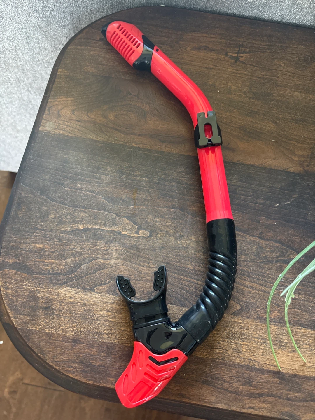 Red and Black Snorkel