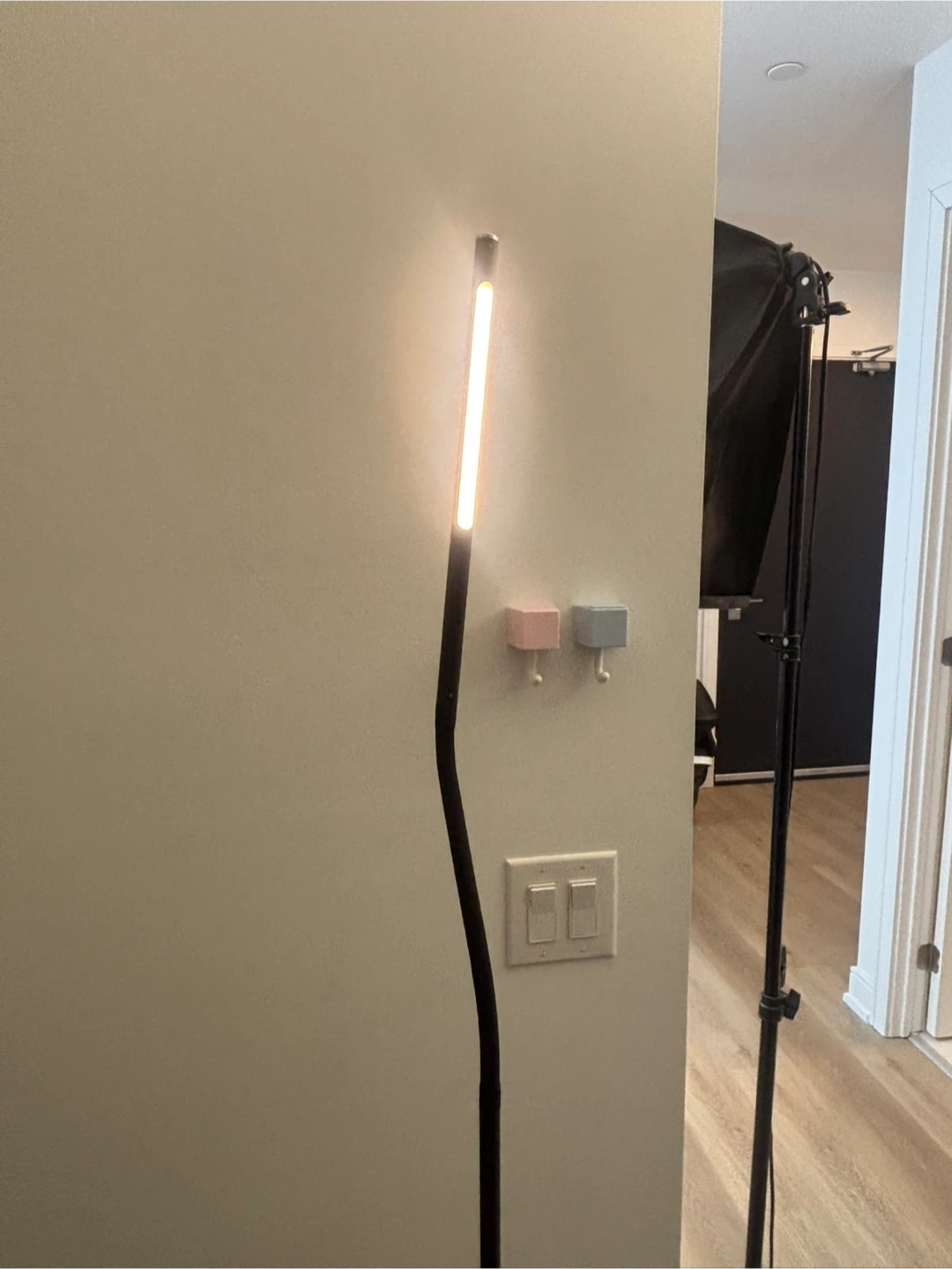 Modern LED Floor Lamp