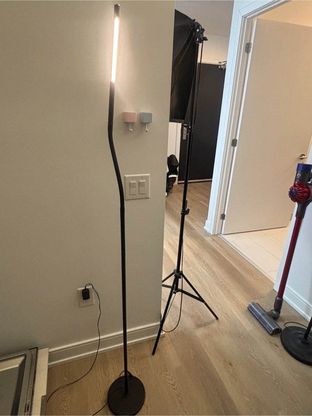 Modern LED Floor Lamp - photo 3