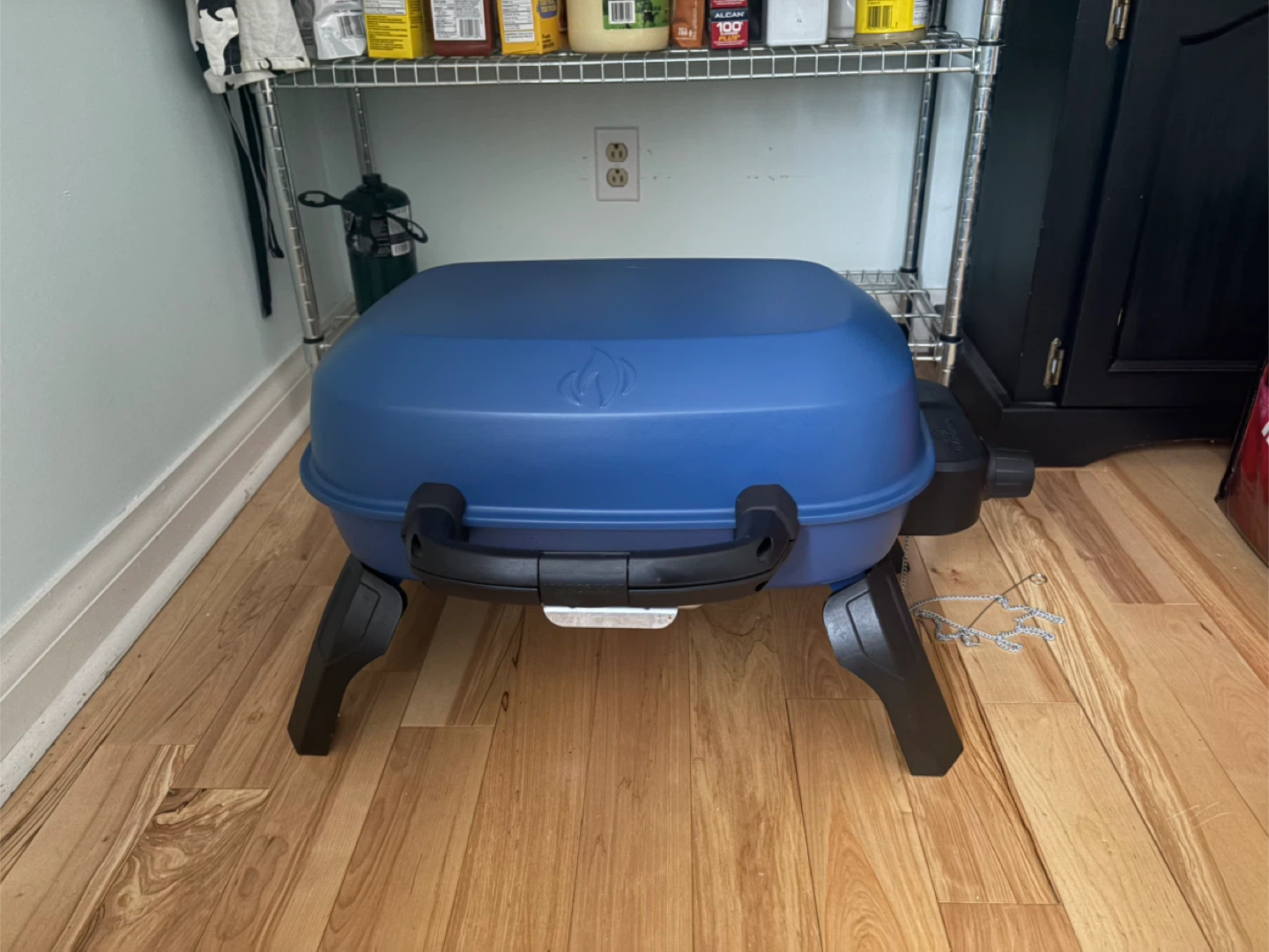 Napoleon Portable BBQ