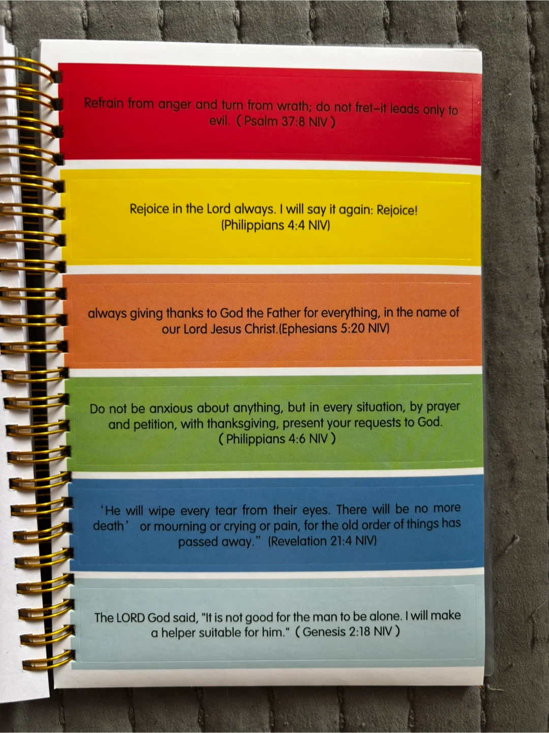 Bible Study Journal - photo 4