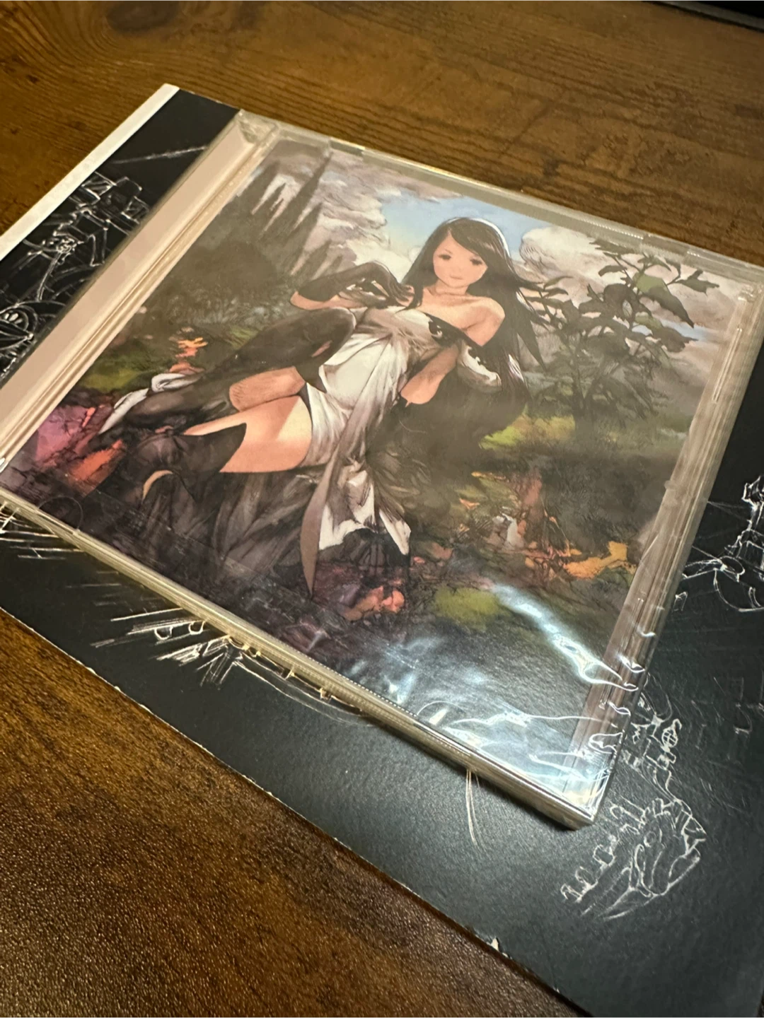 Bravely Default Deluxe Artbook & Soundtrack - photo 2