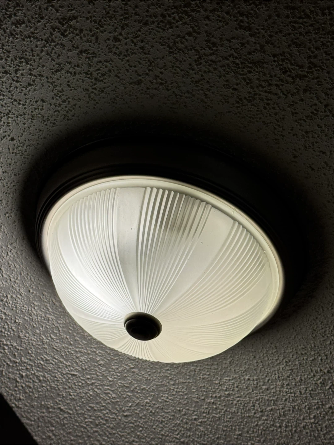 Flush Mount Ceiling Light Fixture - photo 4