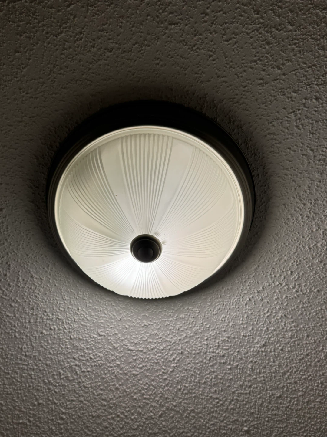 Flush Mount Ceiling Light Fixture - photo 5