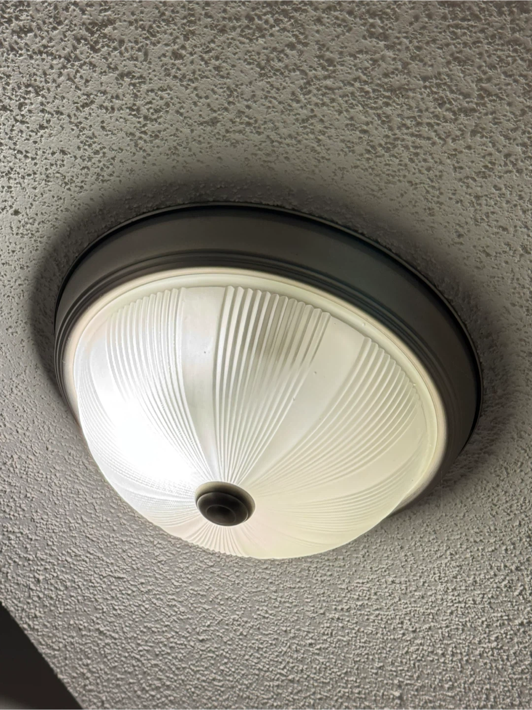 Flush Mount Ceiling Light Fixture - photo 3
