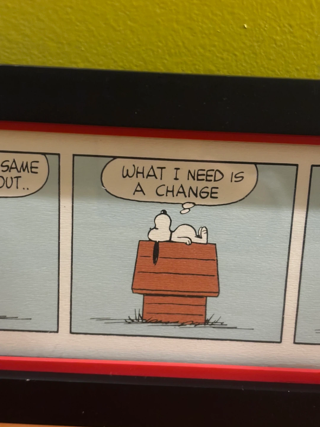 Peanuts Snoopy Comic Strip Framed Art - photo 4