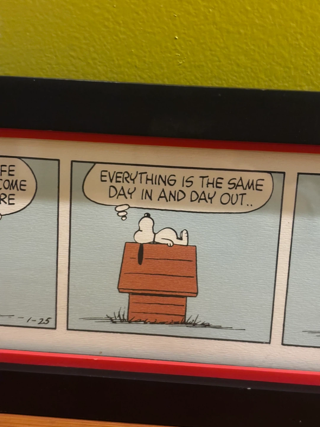 Peanuts Snoopy Comic Strip Framed Art - photo 3