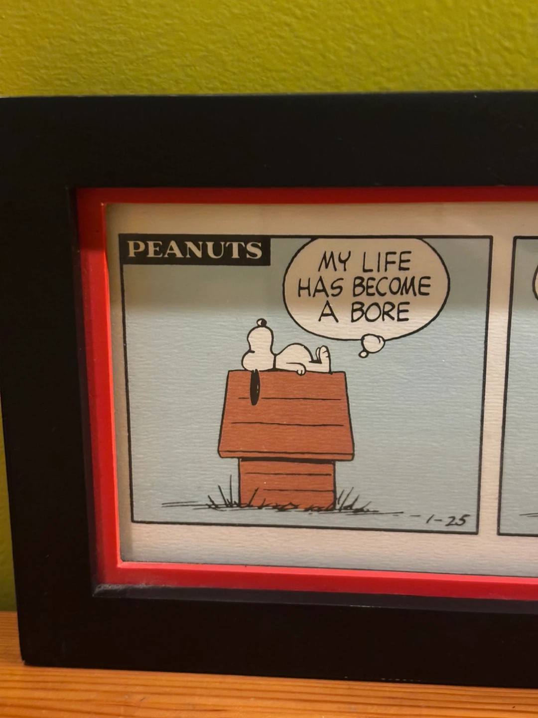 Peanuts Snoopy Comic Strip Framed Art - photo 2