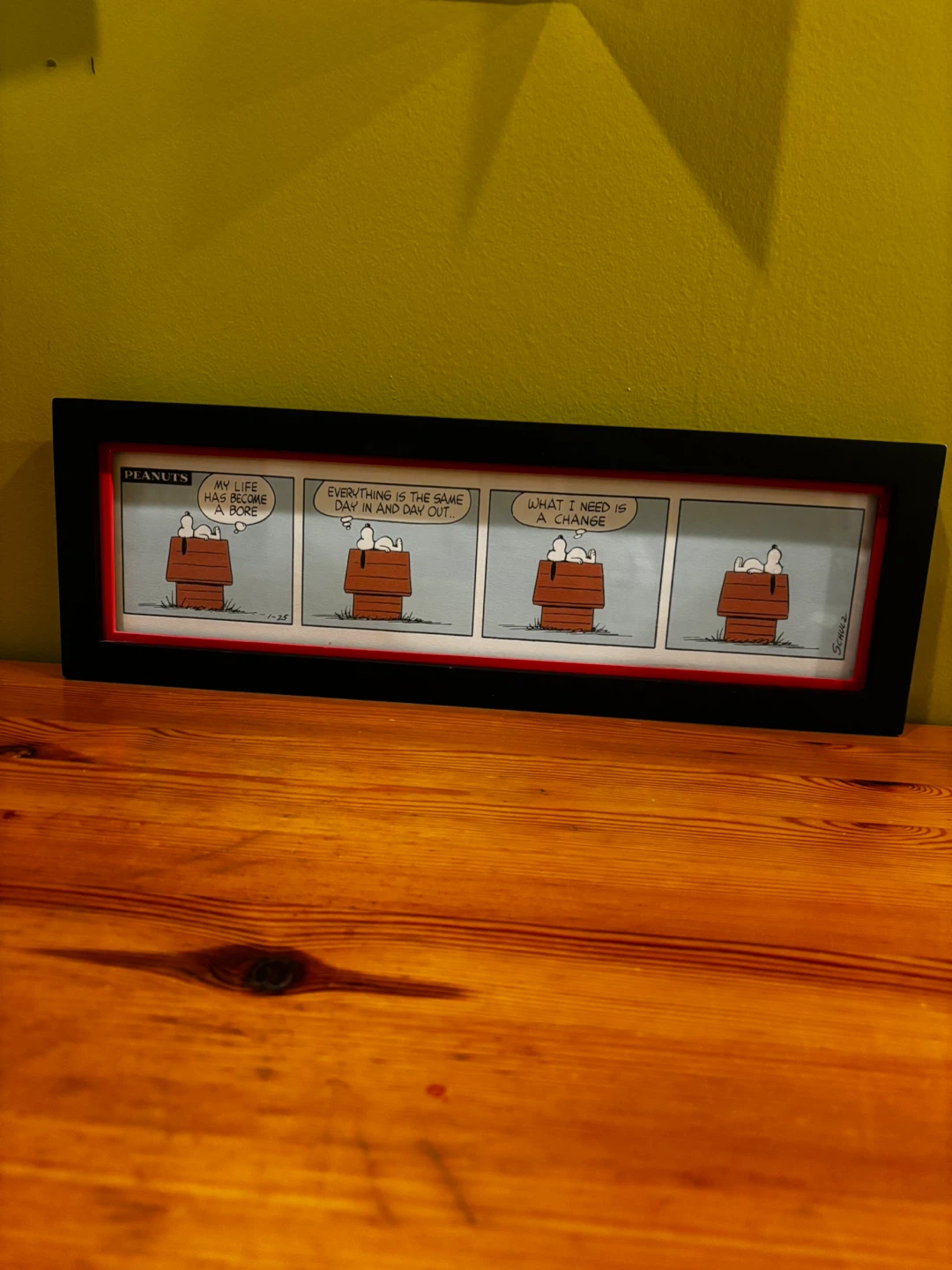 Peanuts Snoopy Comic Strip Framed Art