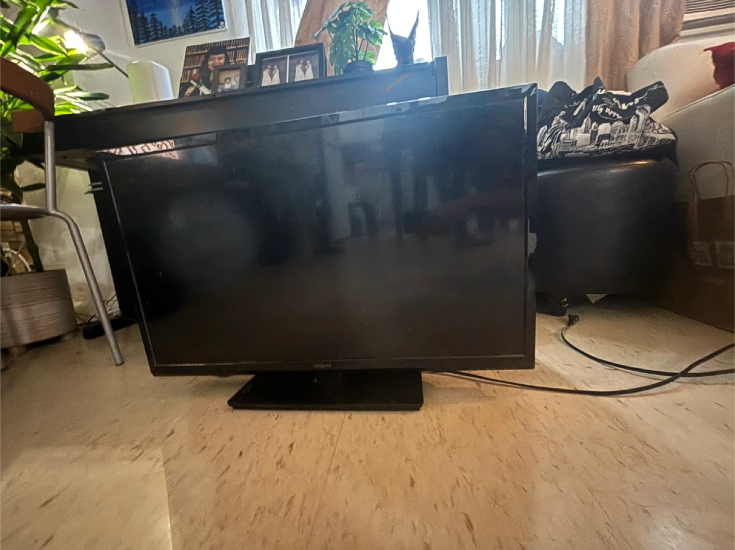 30” Insignia Flat Screen TV