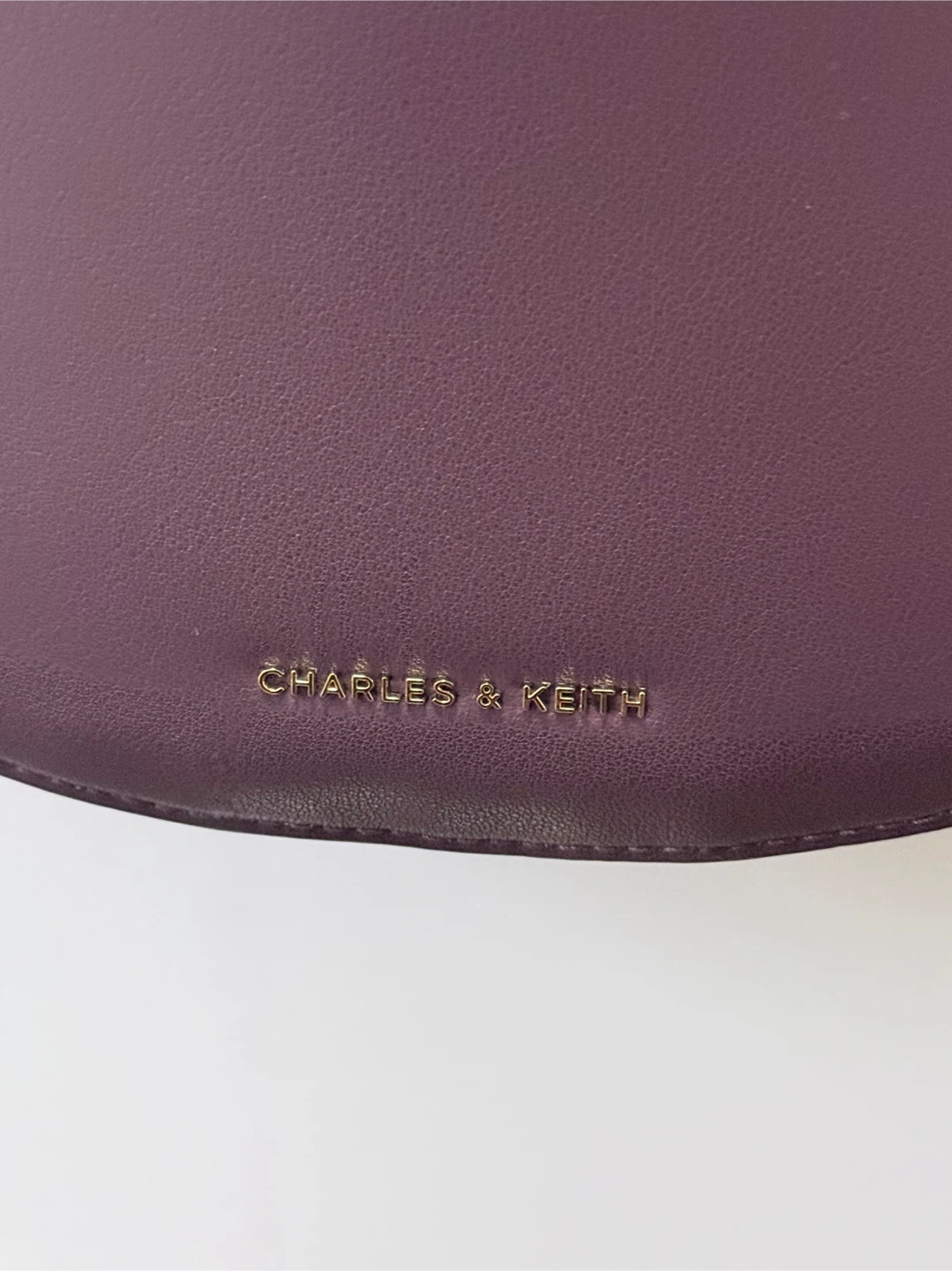 Charles & Keith Cesia Wineberry - photo 4