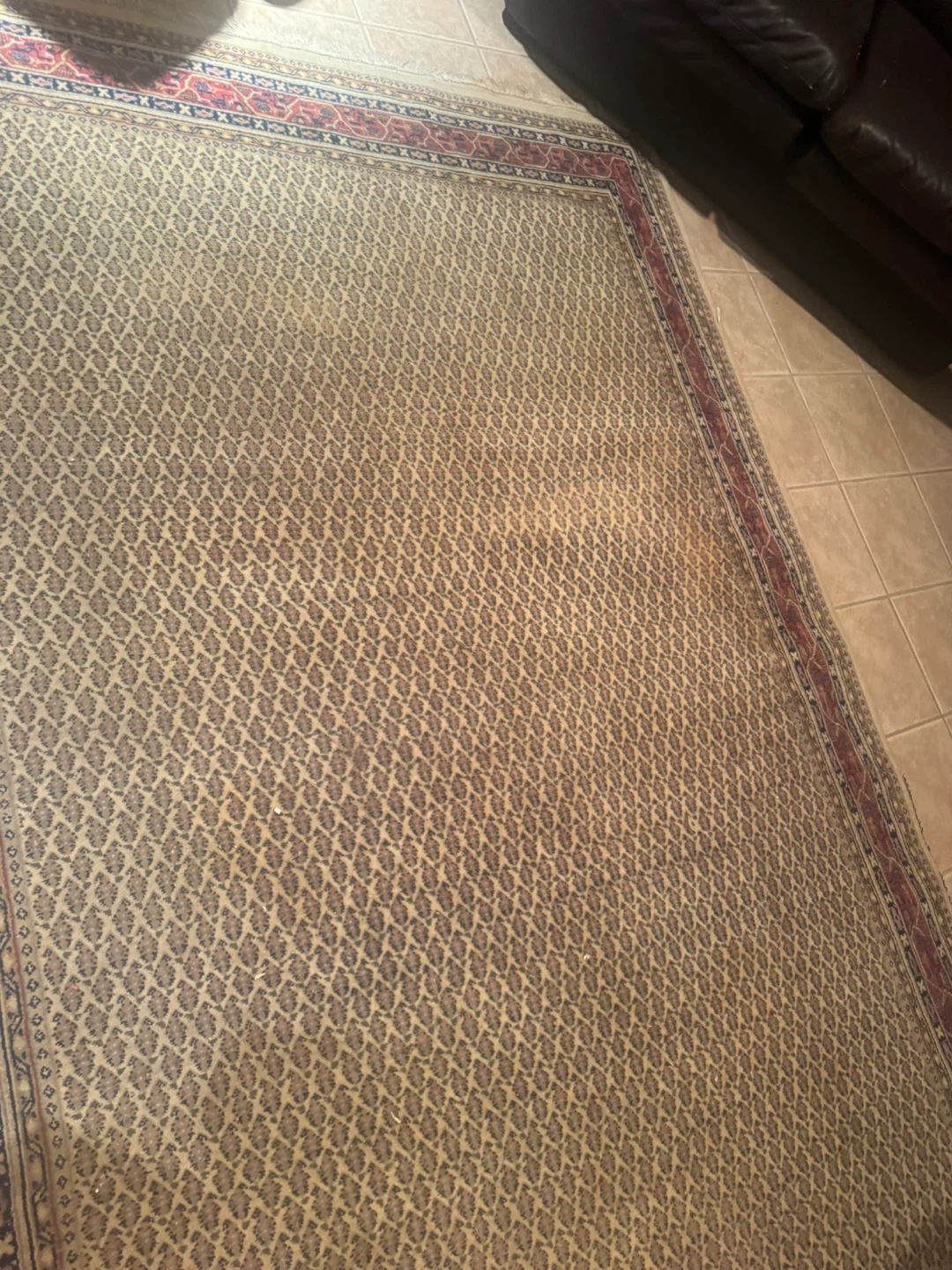 Persian Style Area Rug