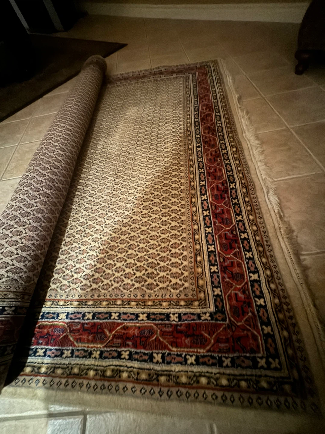 Persian Style Area Rug - photo 3