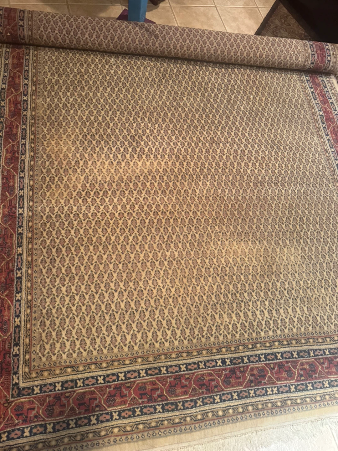 Persian Style Area Rug - photo 2