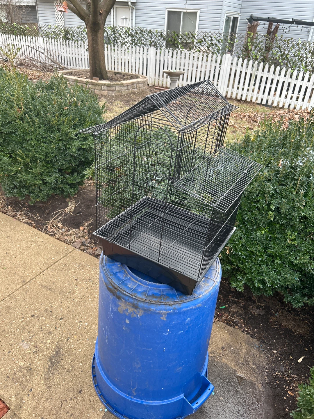 Black Bird Cage