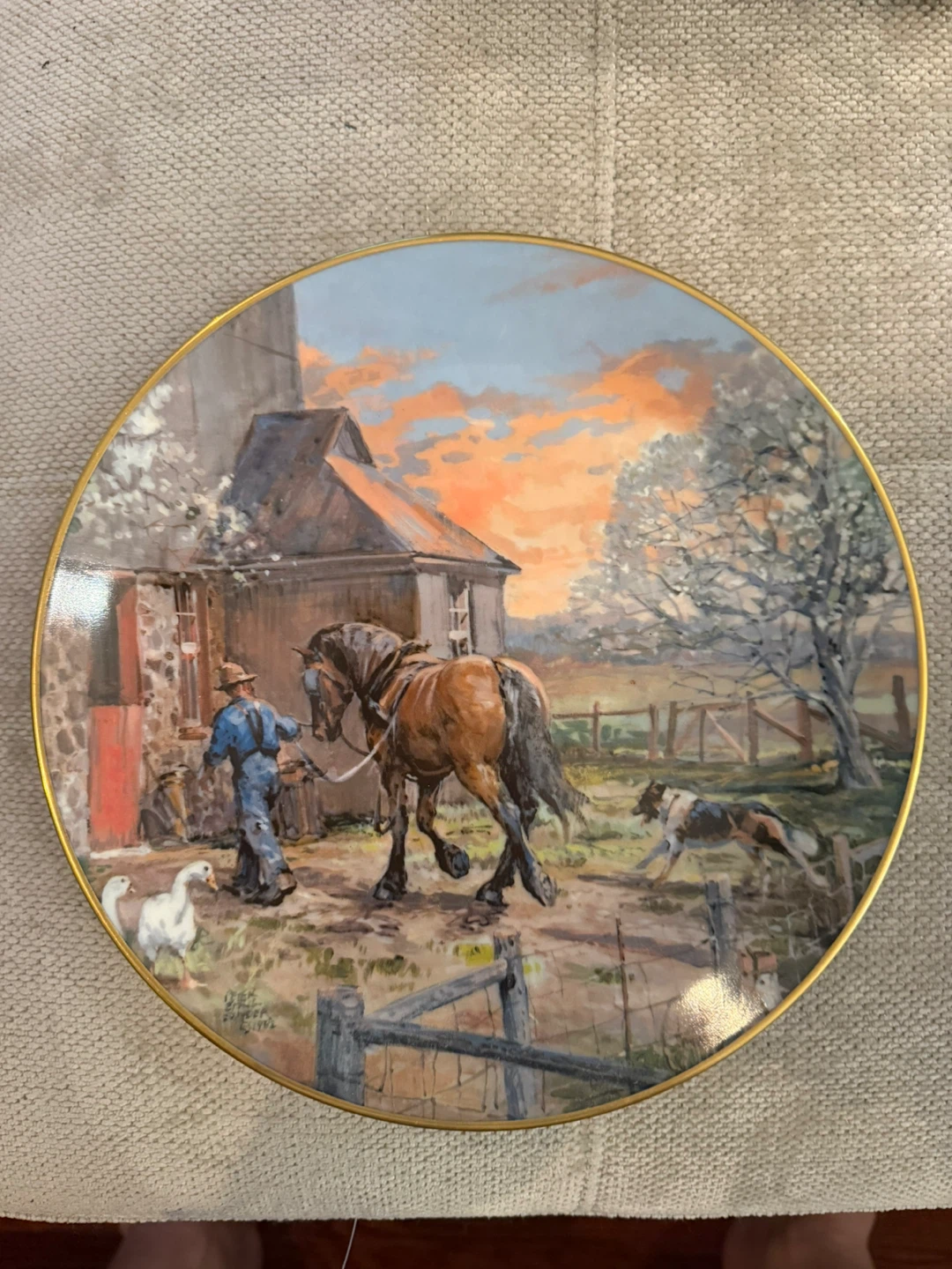 Decorative Collector Plates - Set of 10