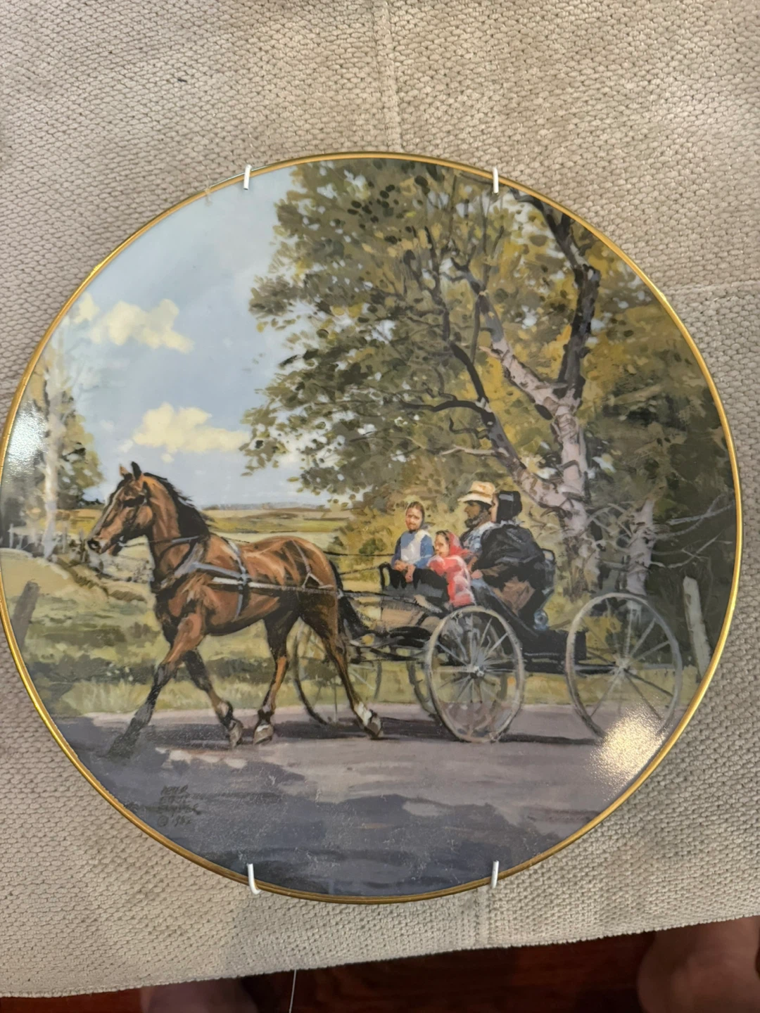 Decorative Collector Plates - Set of 10 - photo 2