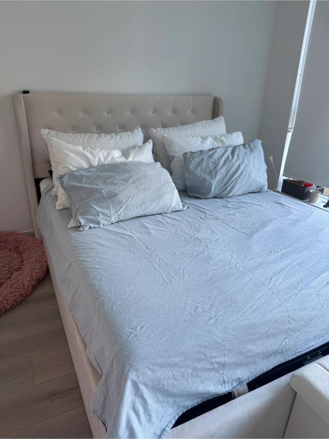Queen Bed Frame with storage and 5 pillows