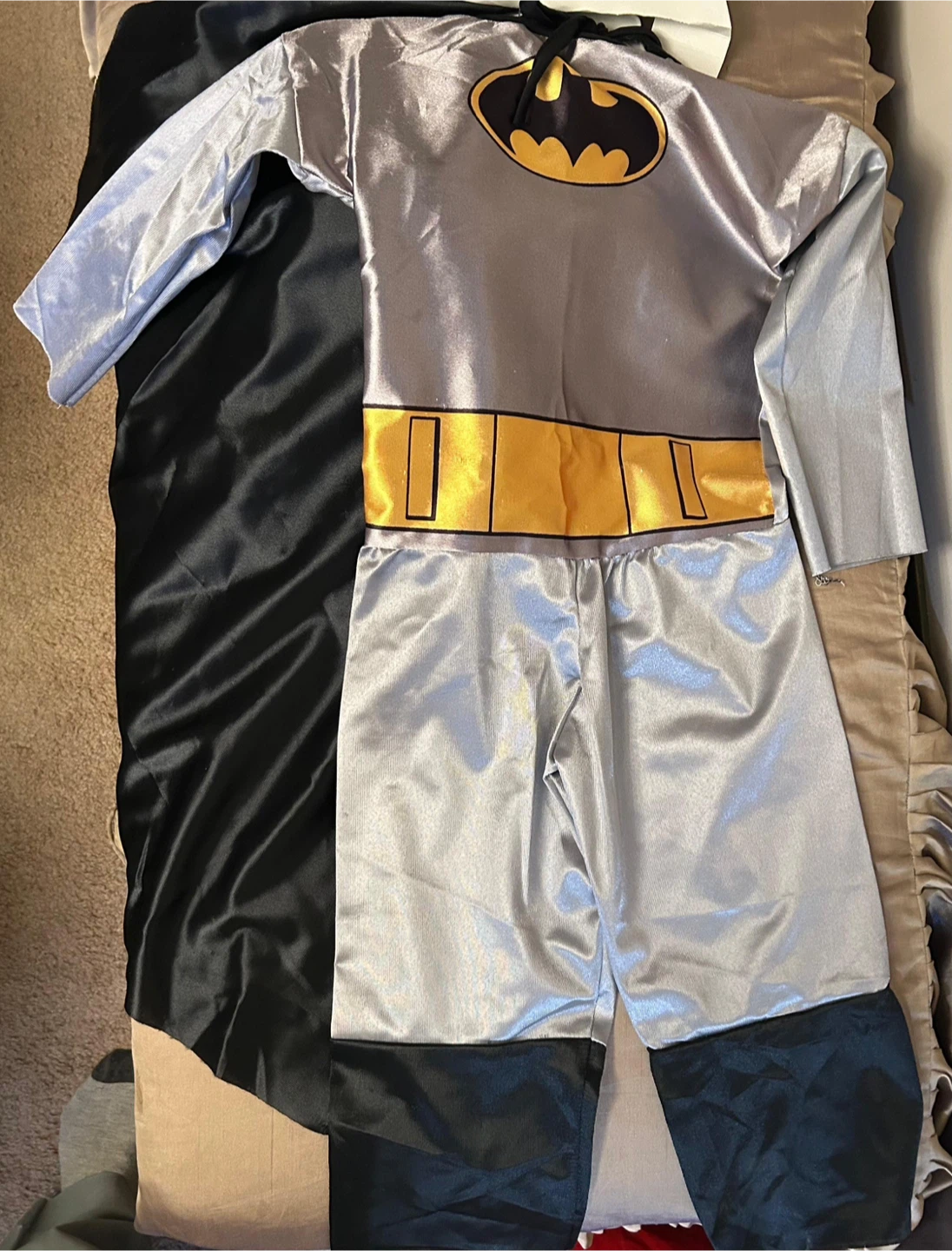 Batman & Robin Costume with Mask