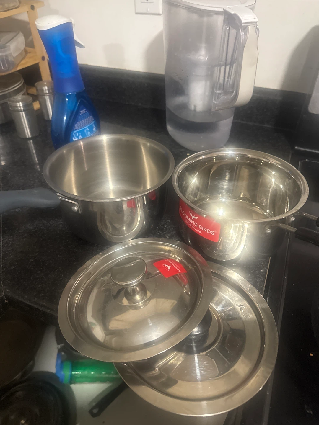Stainless Steel Pots with Lids - photo 2
