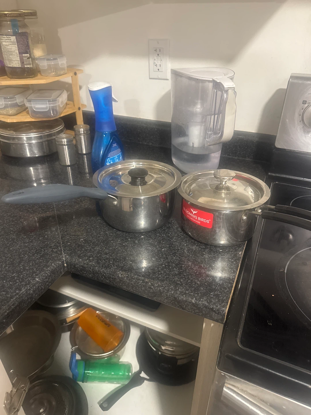 Stainless Steel Pots with Lids