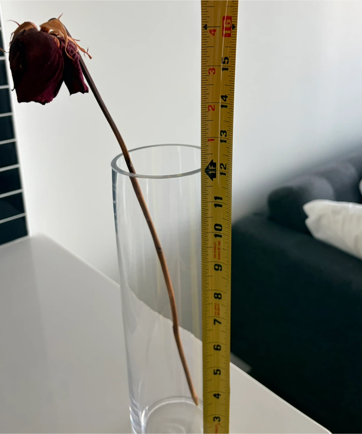Clear Glass Cylinder Vase - photo 3