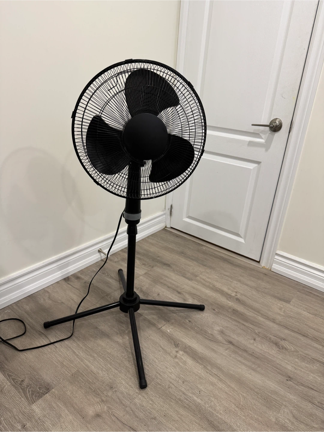 Black Standing Fan