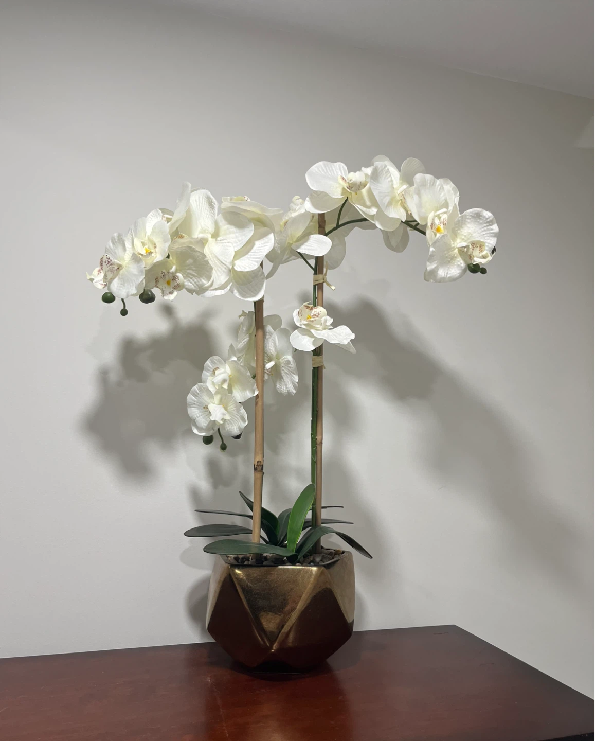 White Orchid Arrangement in Gold Geometric Pot