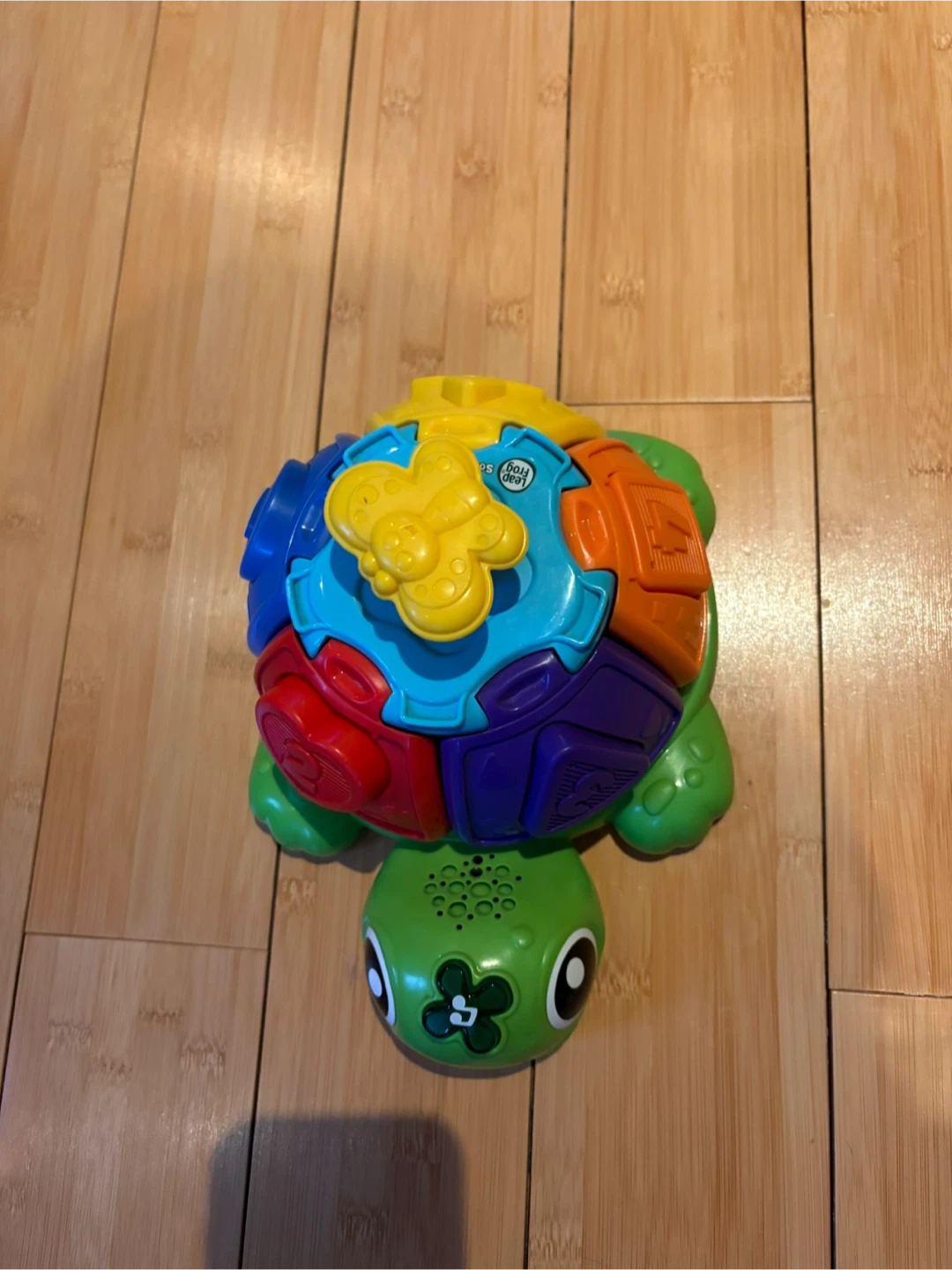 LeapFrog Sort & Spin Turtle