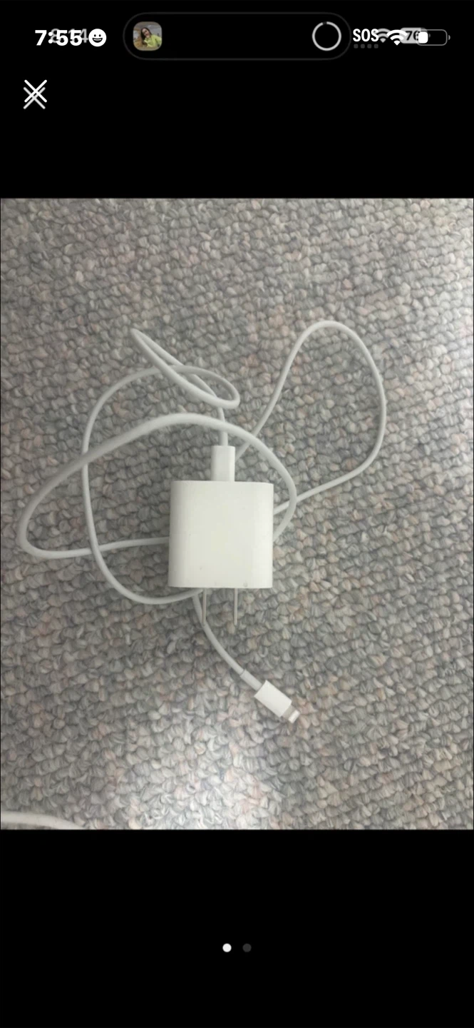White Apple USB Power Adapter and Lightning Cable