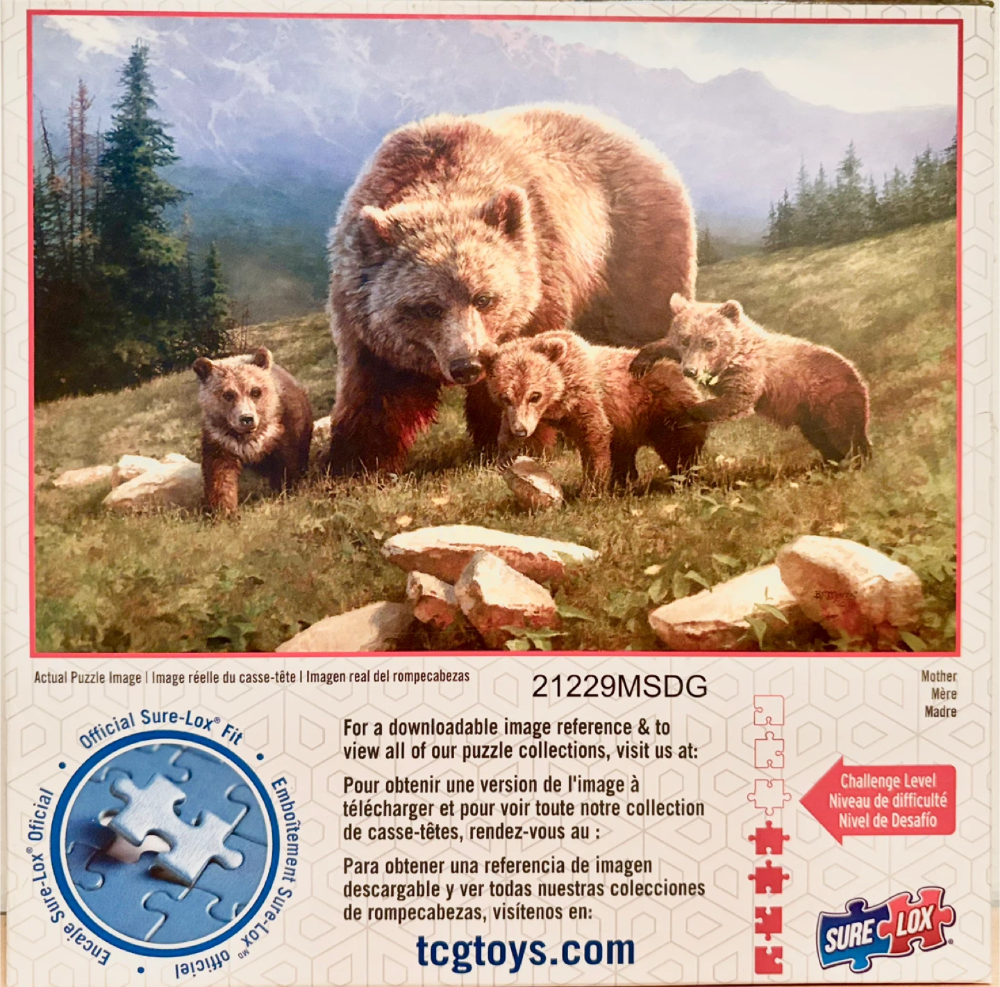 🐻Cute Bear Family Puzzle 🐻