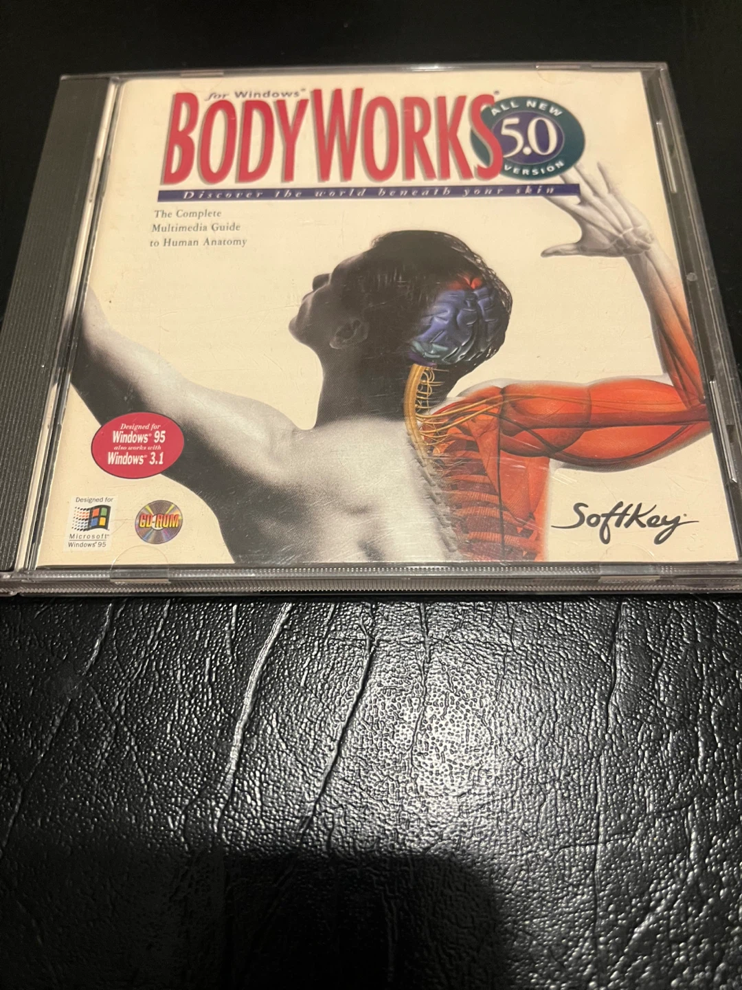 Body Works 5.0 Multimedia Guide for Human Anatomy CD-ROM