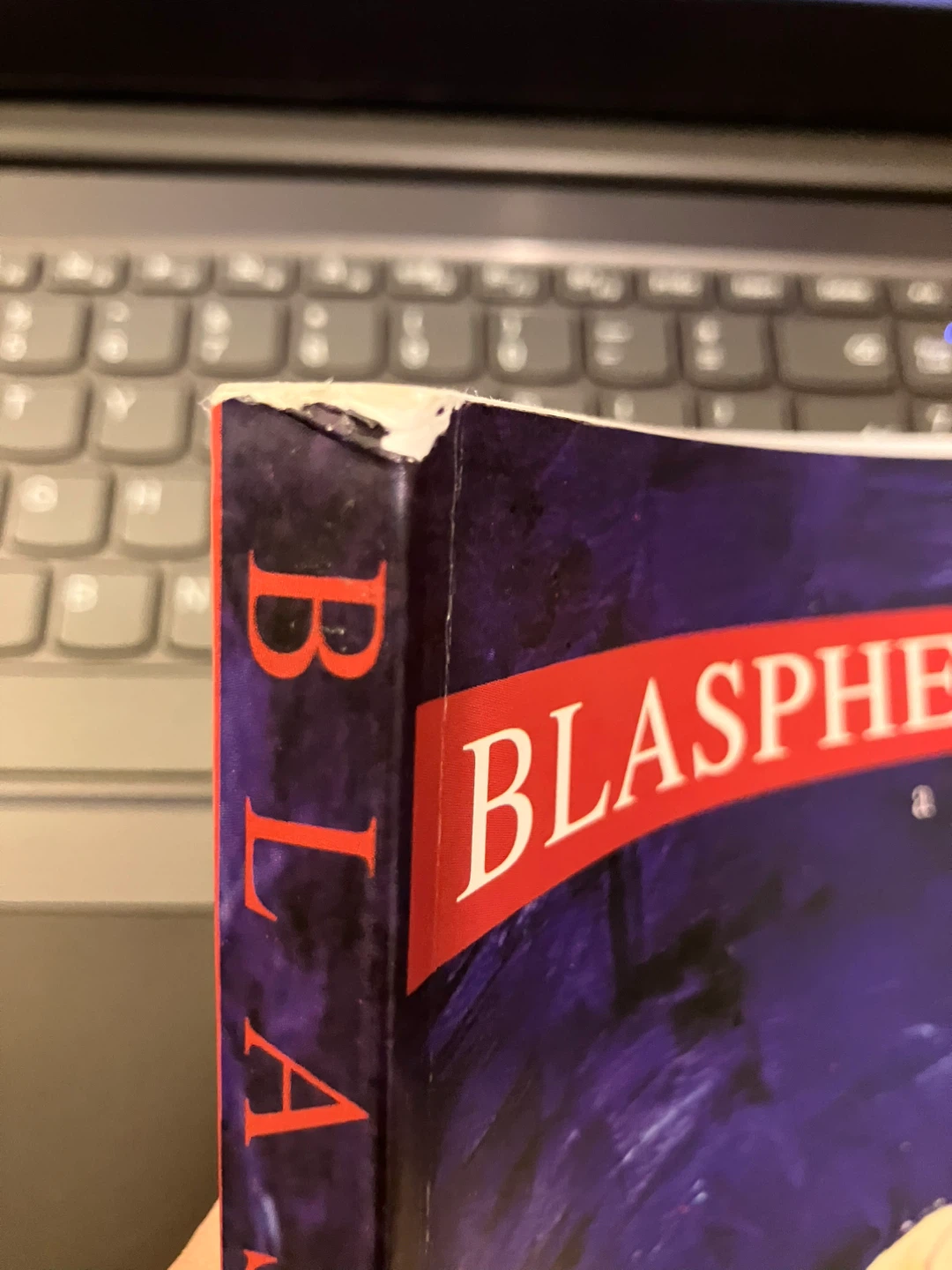 Blasphemy by Tehmina Durrani - photo 5
